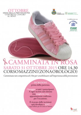 locandina camminata in rosa copia