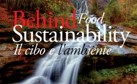 mostra appennino correggio